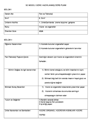 Ingilizce Ders Planlari