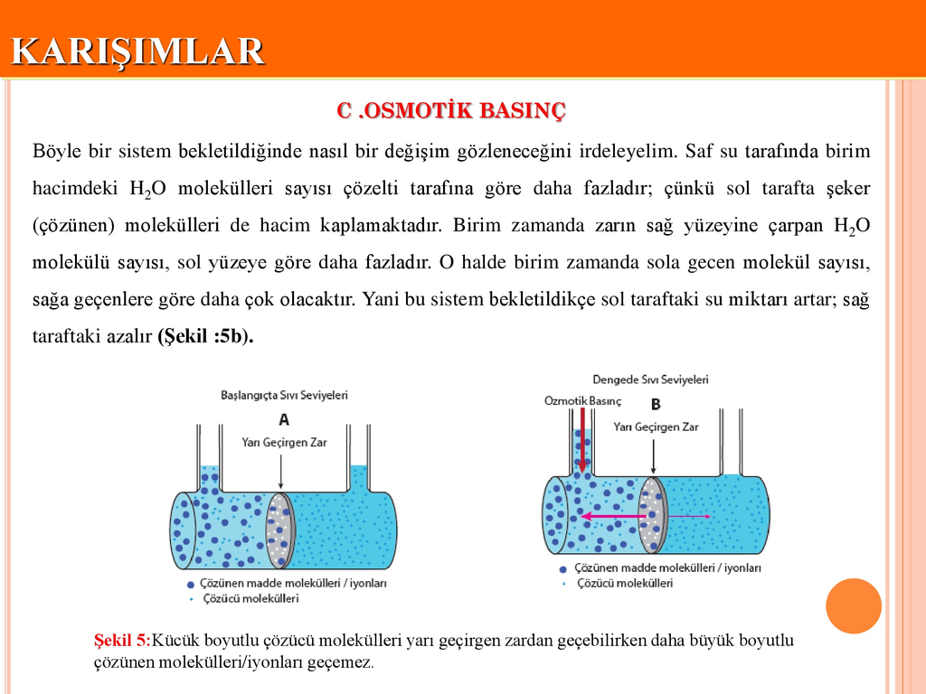 Ozmotik basınç Ozmotik basınç