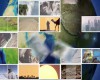Görüntülemek için tıklayın : Biyoçeşitlilik