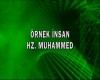 Örnek İnsan Hz. Muhammed